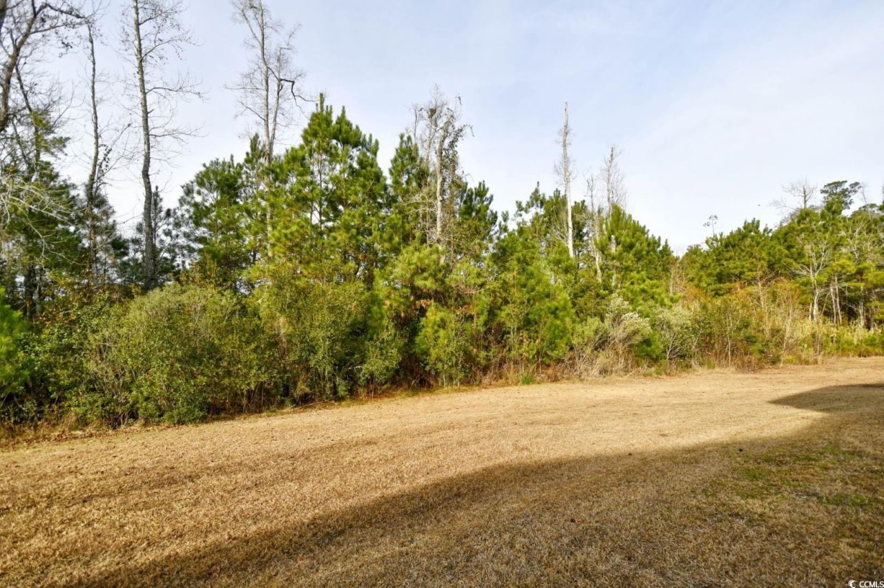 837 Triple Ct. Photo 32