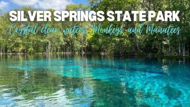 902 NE 130th Terrace, Silver Springs, FL 34488 Photo