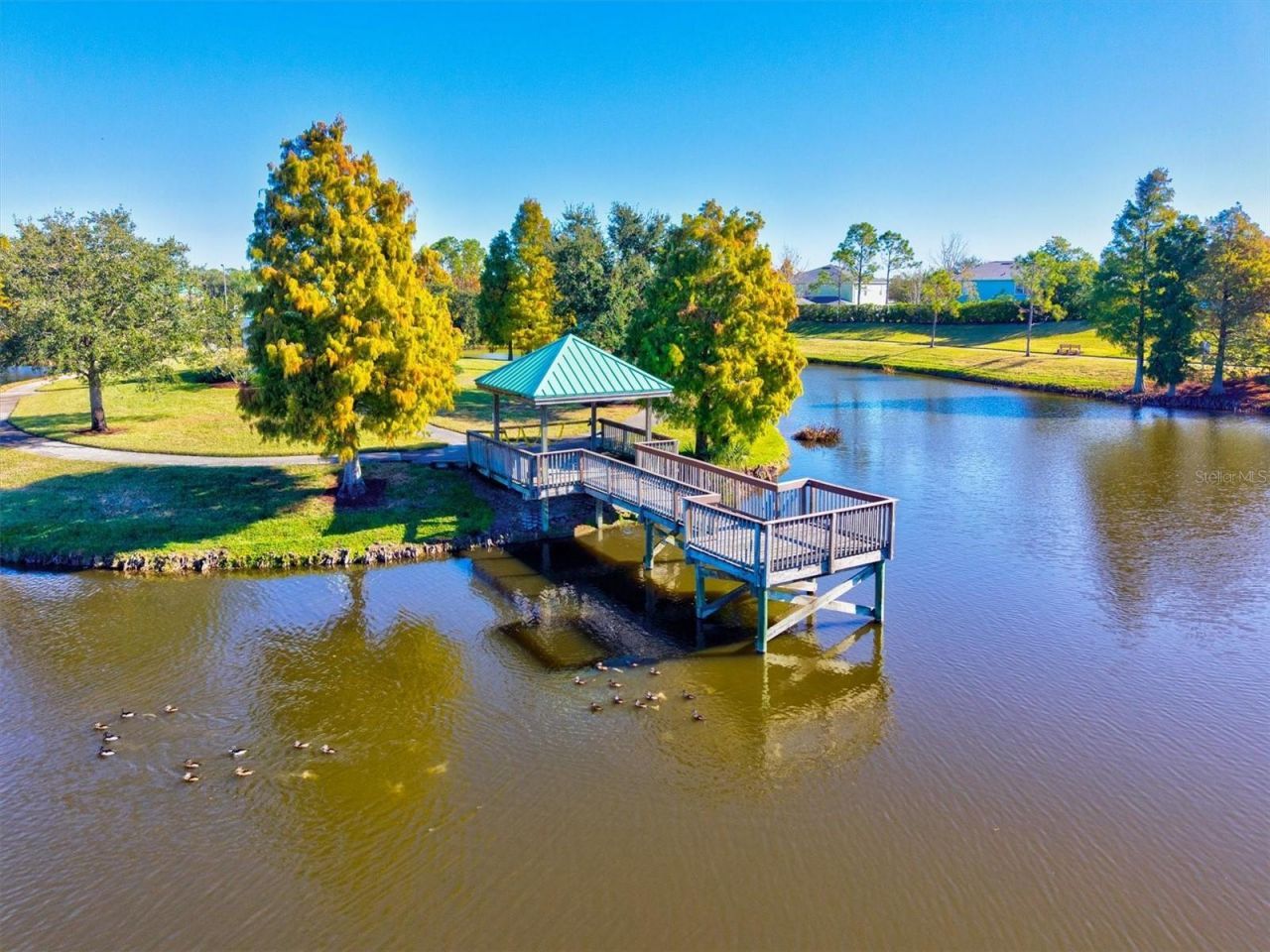 5213 Moon Shell Drive, Apollo Beach, FL 33572 Photo