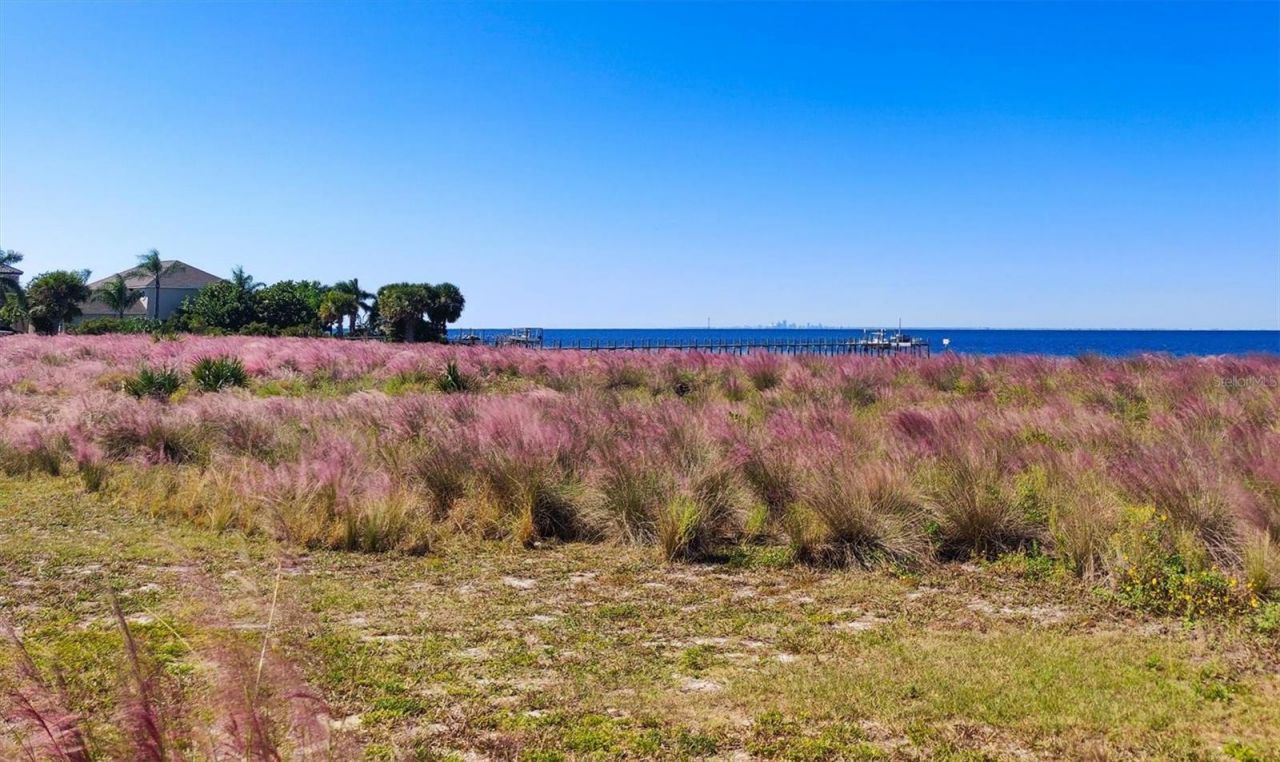 5213 Moon Shell Drive, Apollo Beach, FL 33572 Photo