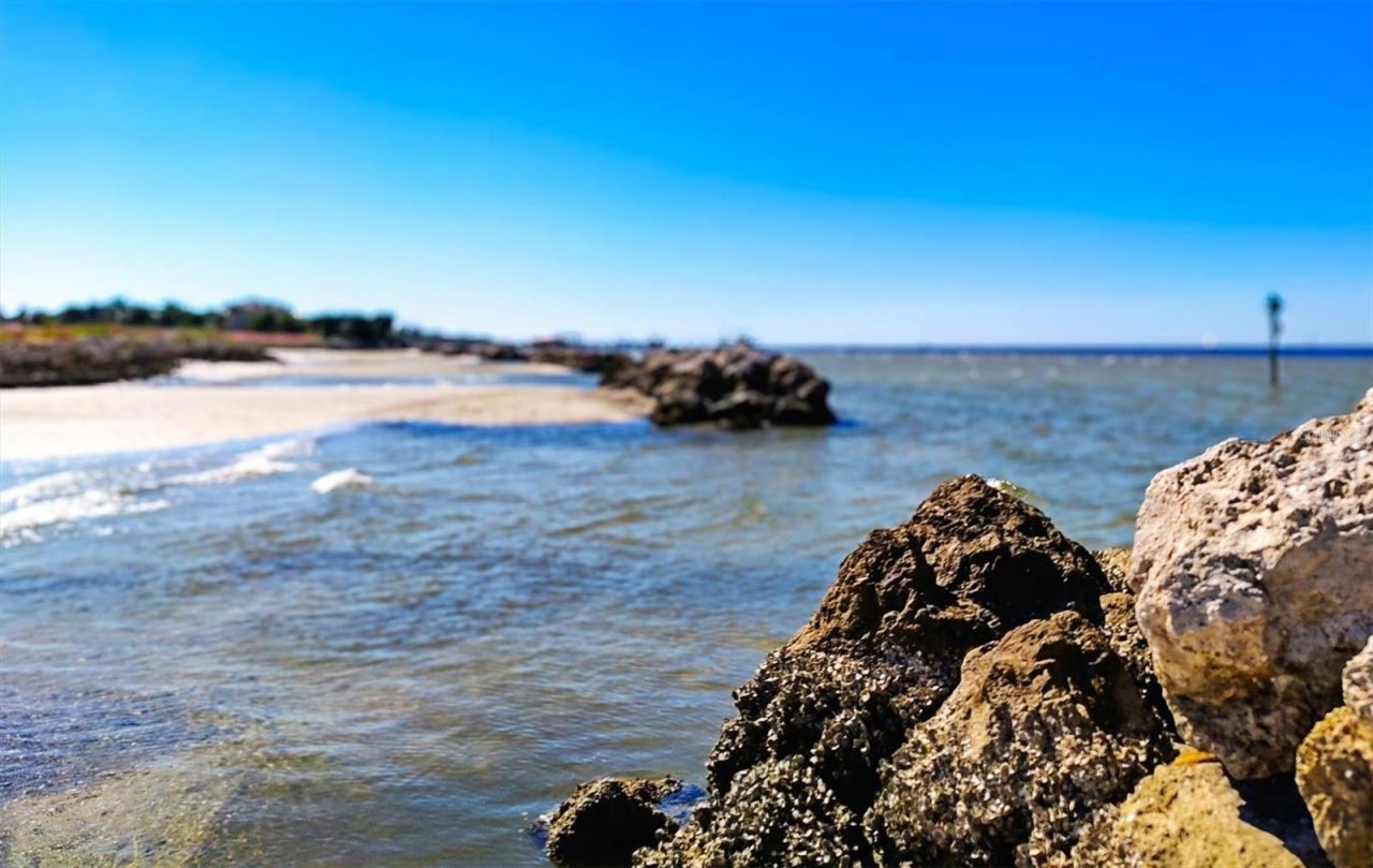 5213 Moon Shell Drive, Apollo Beach, FL 33572 Photo