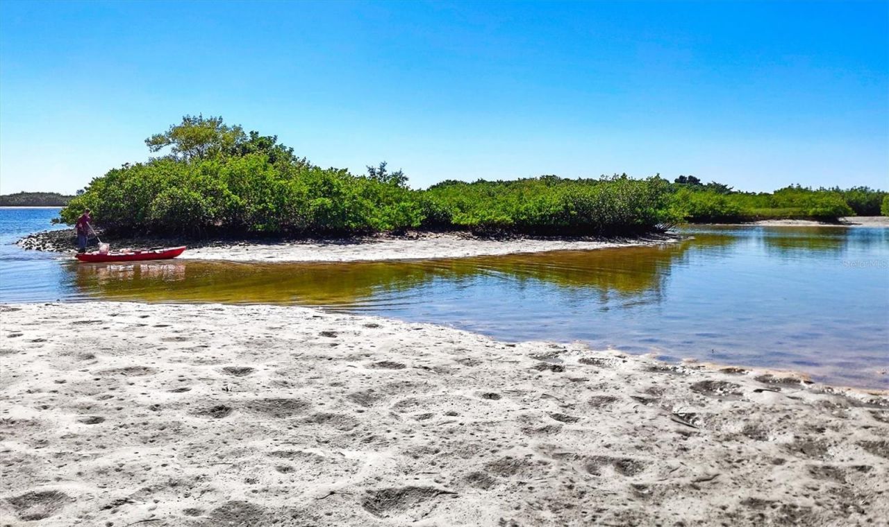 5213 Moon Shell Drive, Apollo Beach, FL 33572 Photo