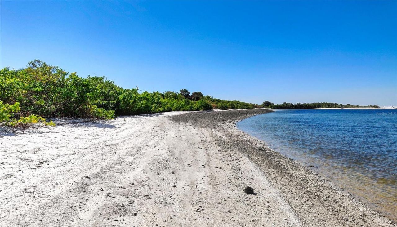 5213 Moon Shell Drive, Apollo Beach, FL 33572 Photo