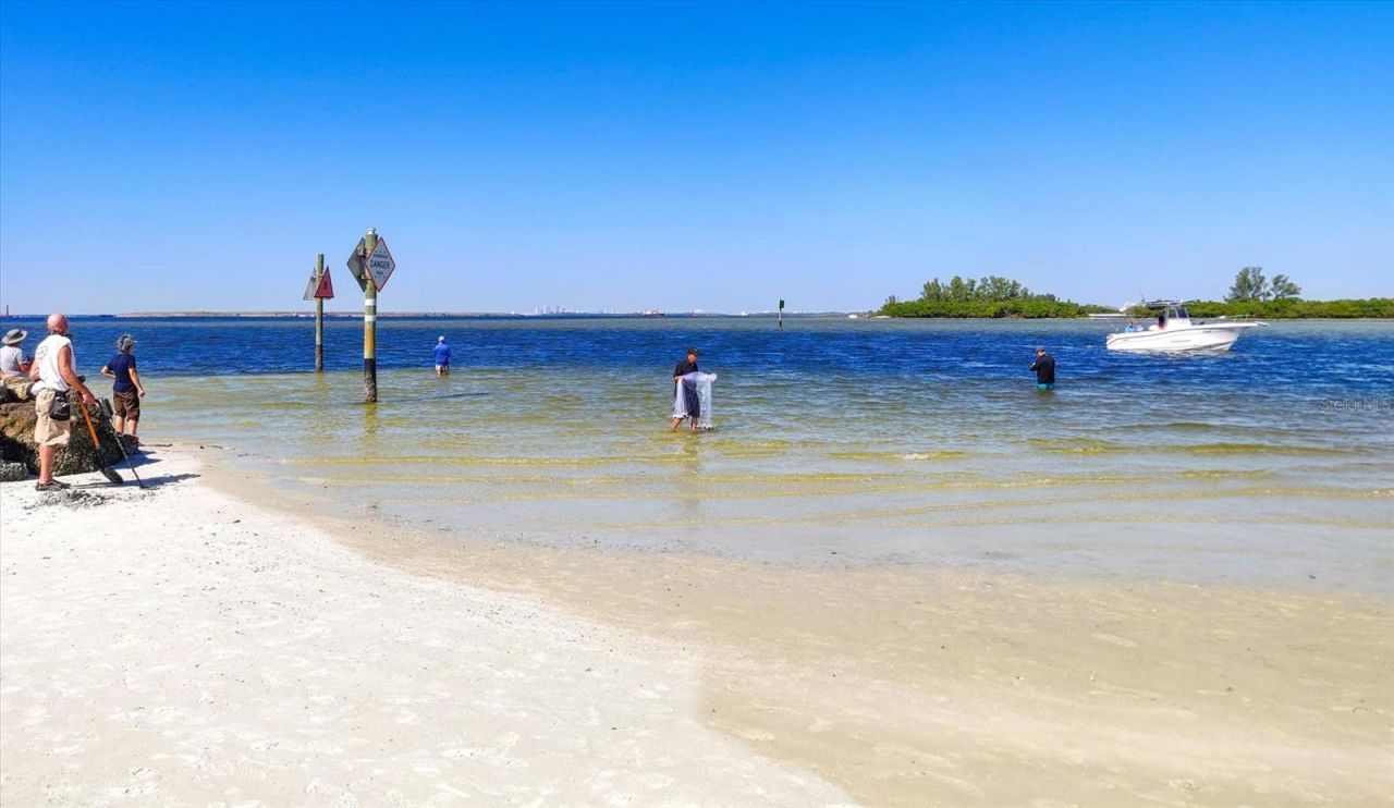 5213 Moon Shell Drive, Apollo Beach, FL 33572 Photo