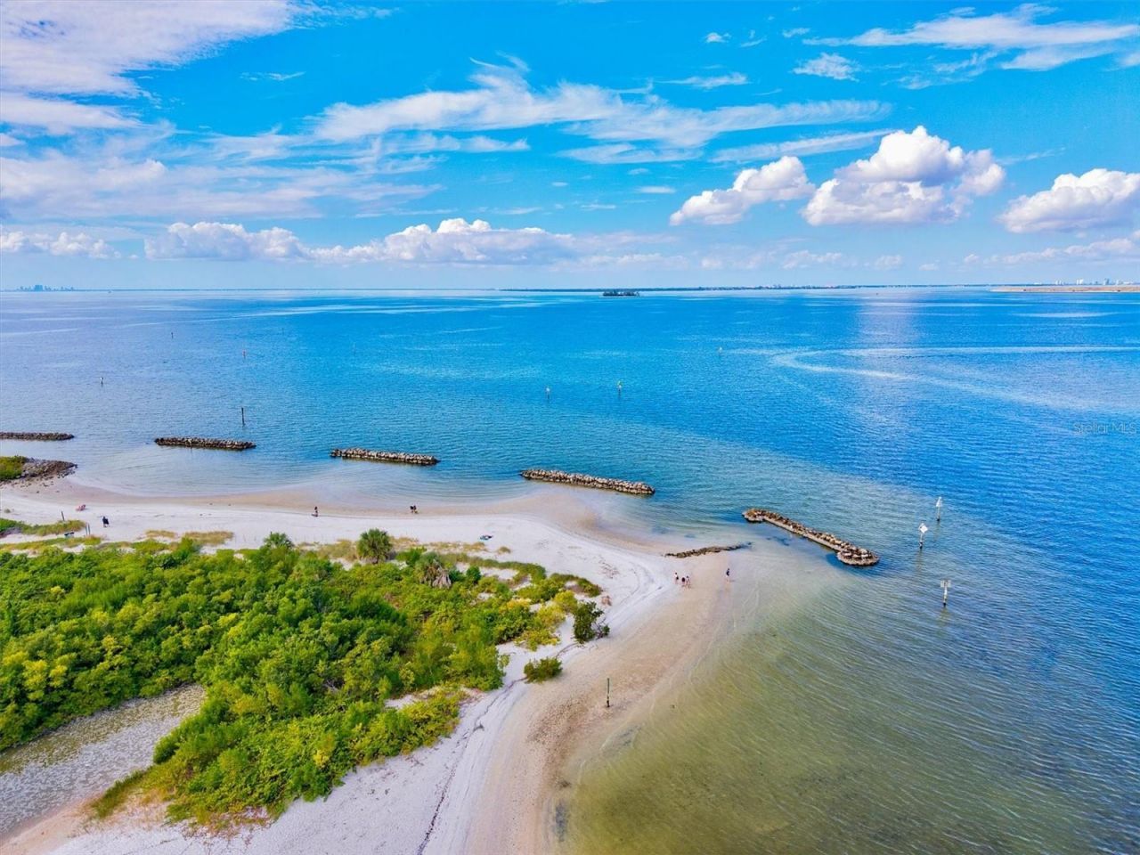 5213 Moon Shell Drive, Apollo Beach, FL 33572 Photo