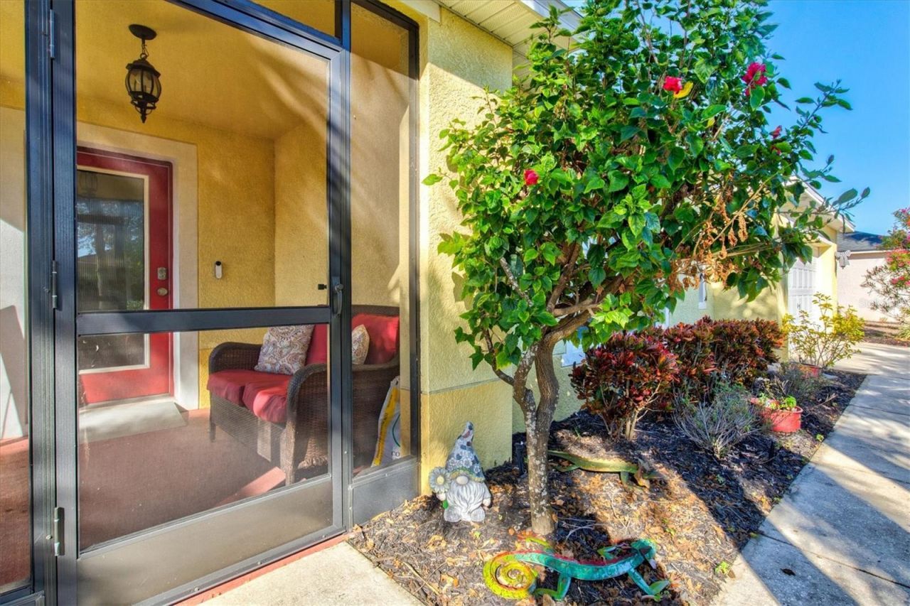 5213 Moon Shell Drive, Apollo Beach, FL 33572 Photo