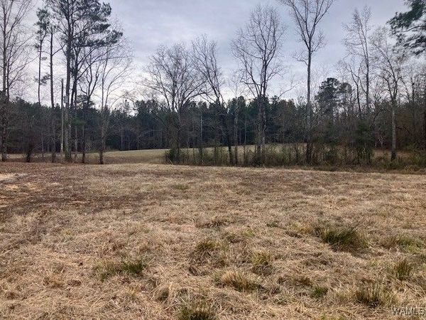 12990 Northside Road, Northport, AL 35475