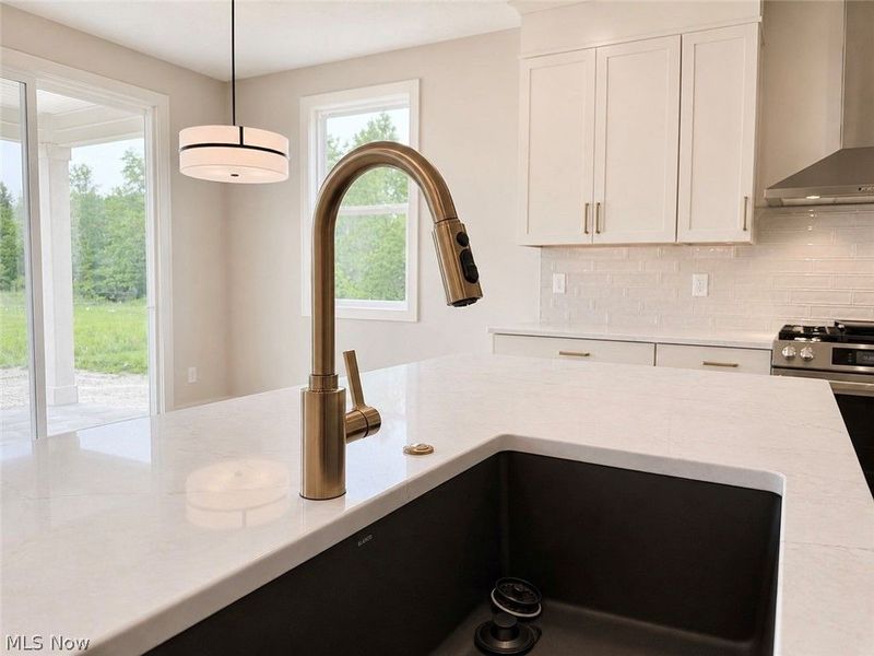 3647 Williams Court, Avon, OH 44011 Photo 9