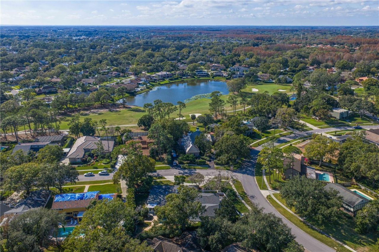 12915 Golf Crest Terrace, Tampa, FL 33618 Photo