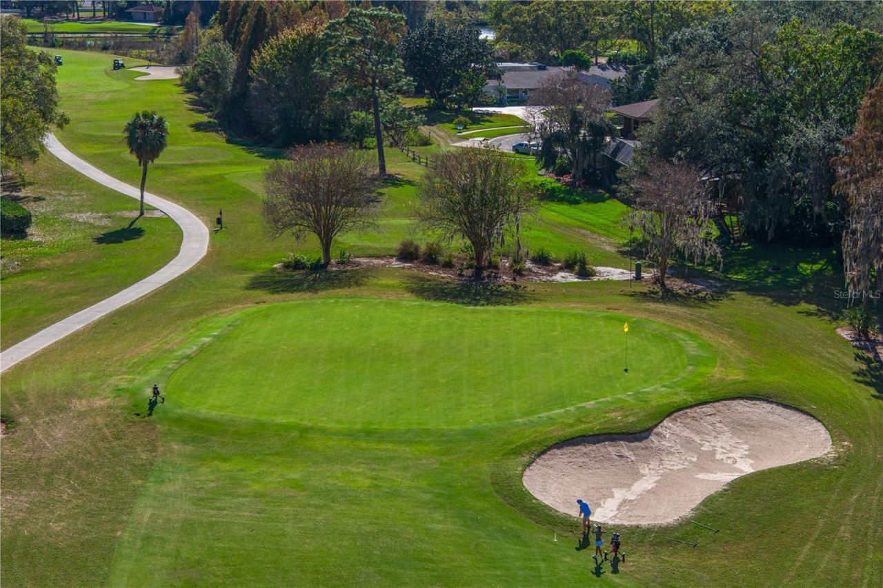 12915 Golf Crest Terrace, Tampa, FL 33618 Photo