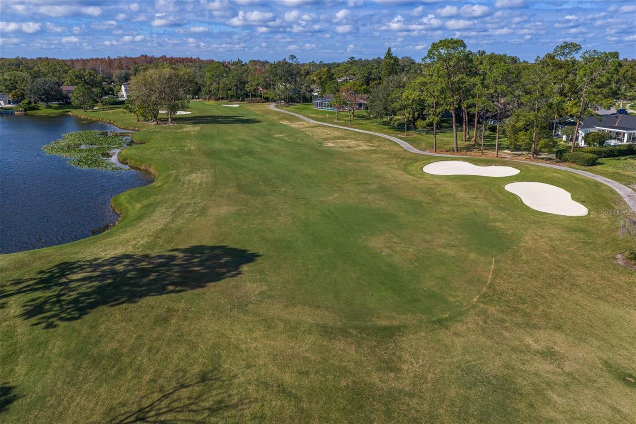 12915 Golf Crest Terrace, Tampa, FL 33618 Photo