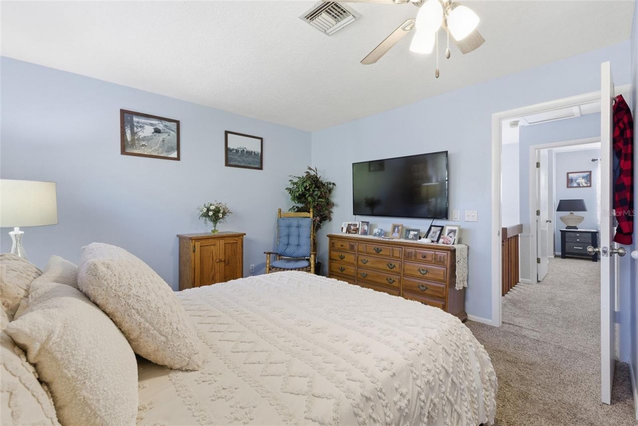 405 Woods Landing Trail, Oldsmar, FL 34677 Photo