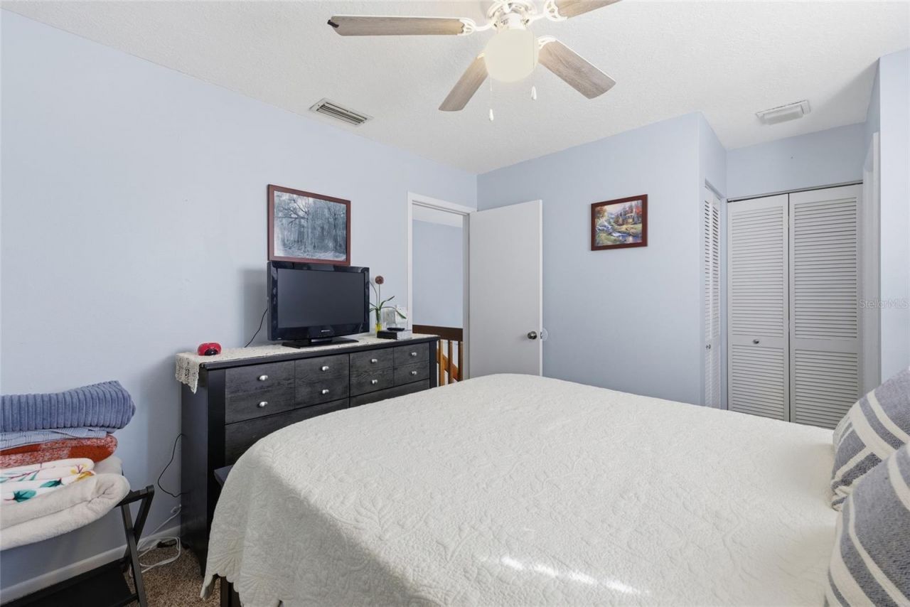 405 Woods Landing Trail, Oldsmar, FL 34677 Photo