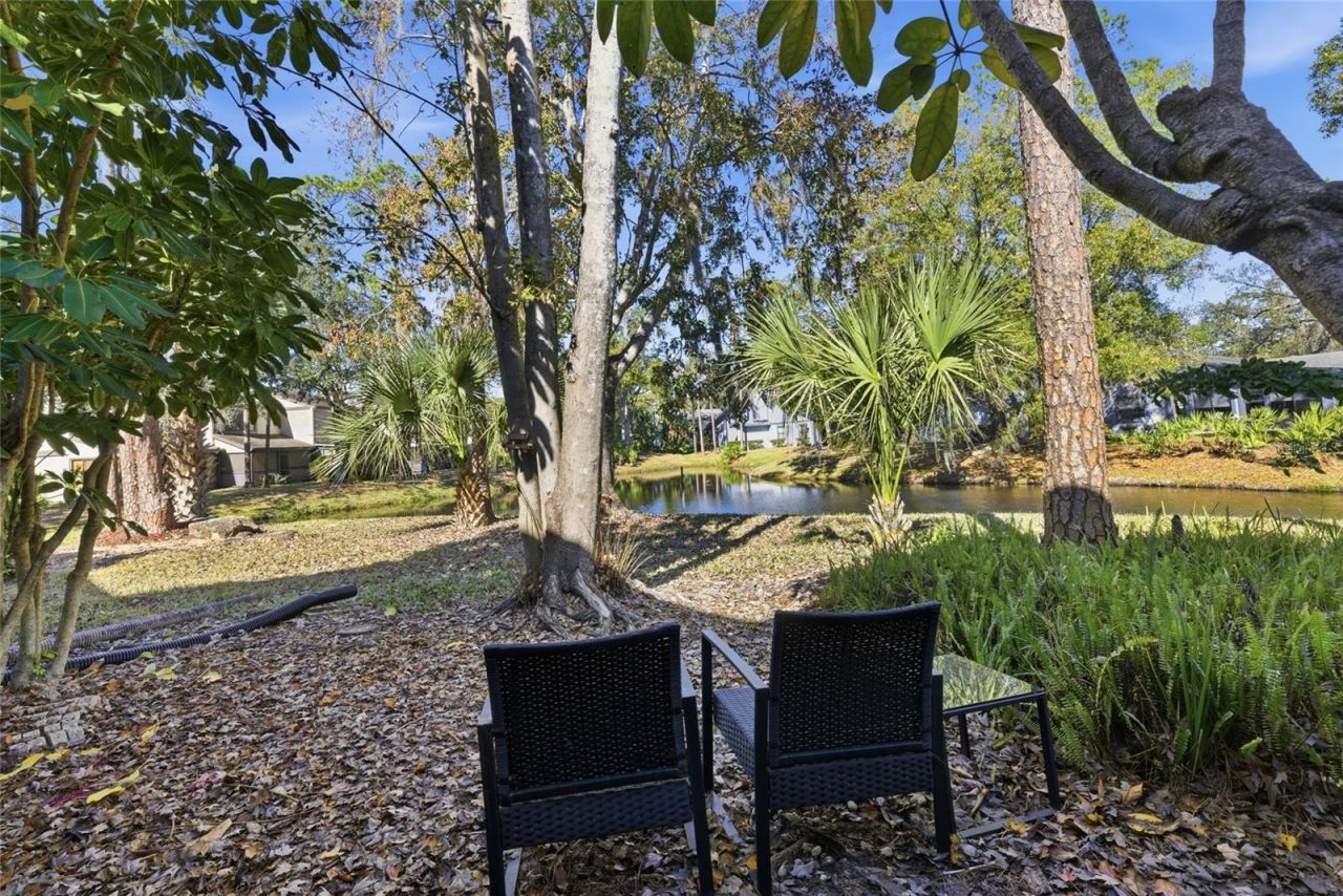 405 Woods Landing Trail, Oldsmar, FL 34677 Photo