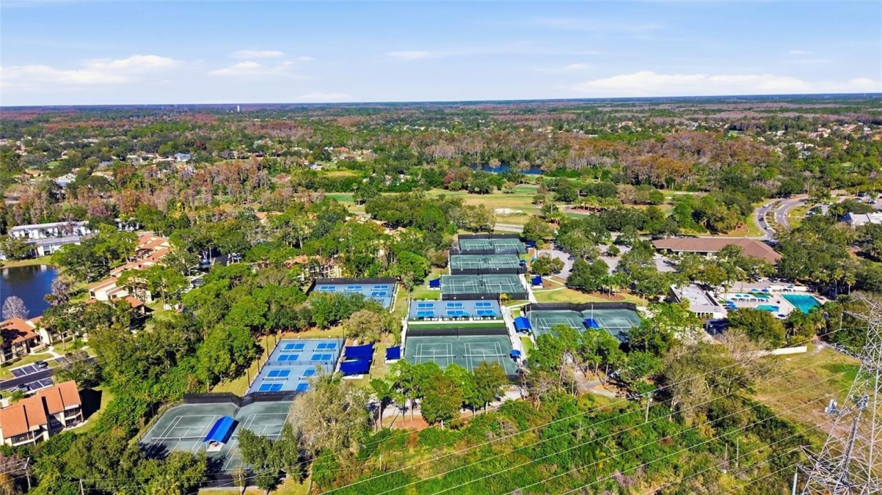 405 Woods Landing Trail, Oldsmar, FL 34677 Photo