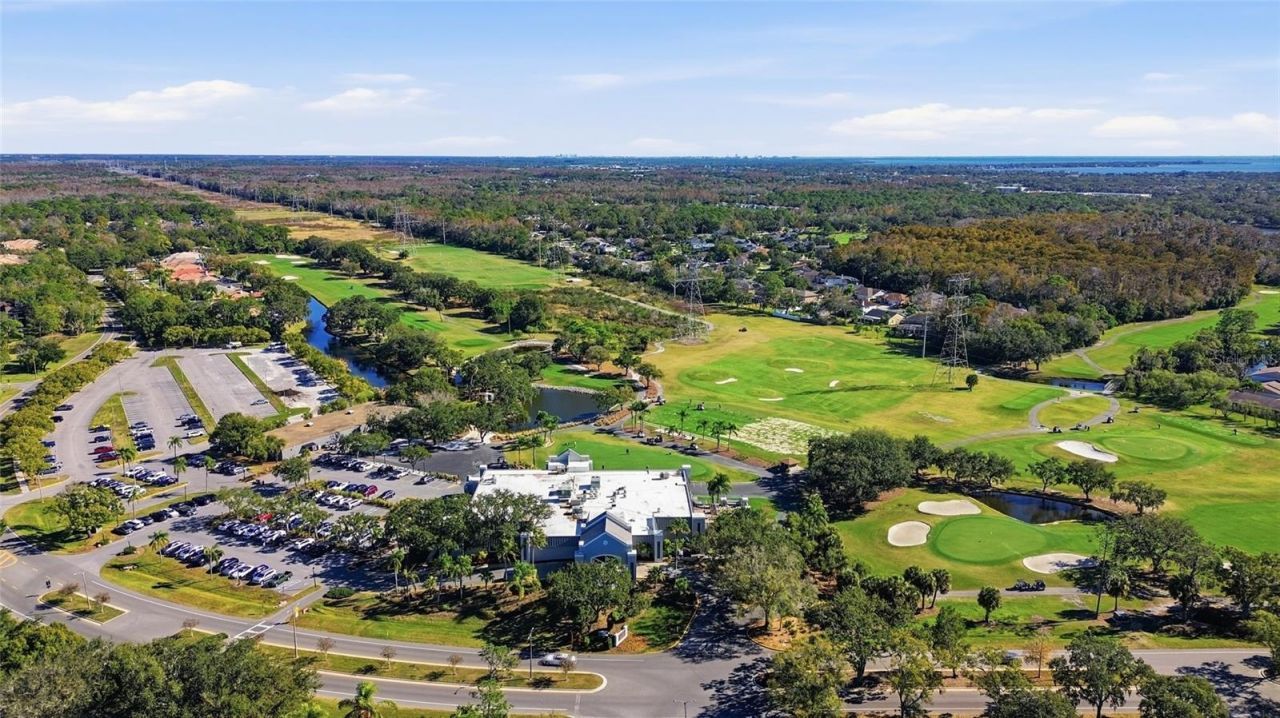 475 Woods Landing Trail, Oldsmar, FL 34677 Photo