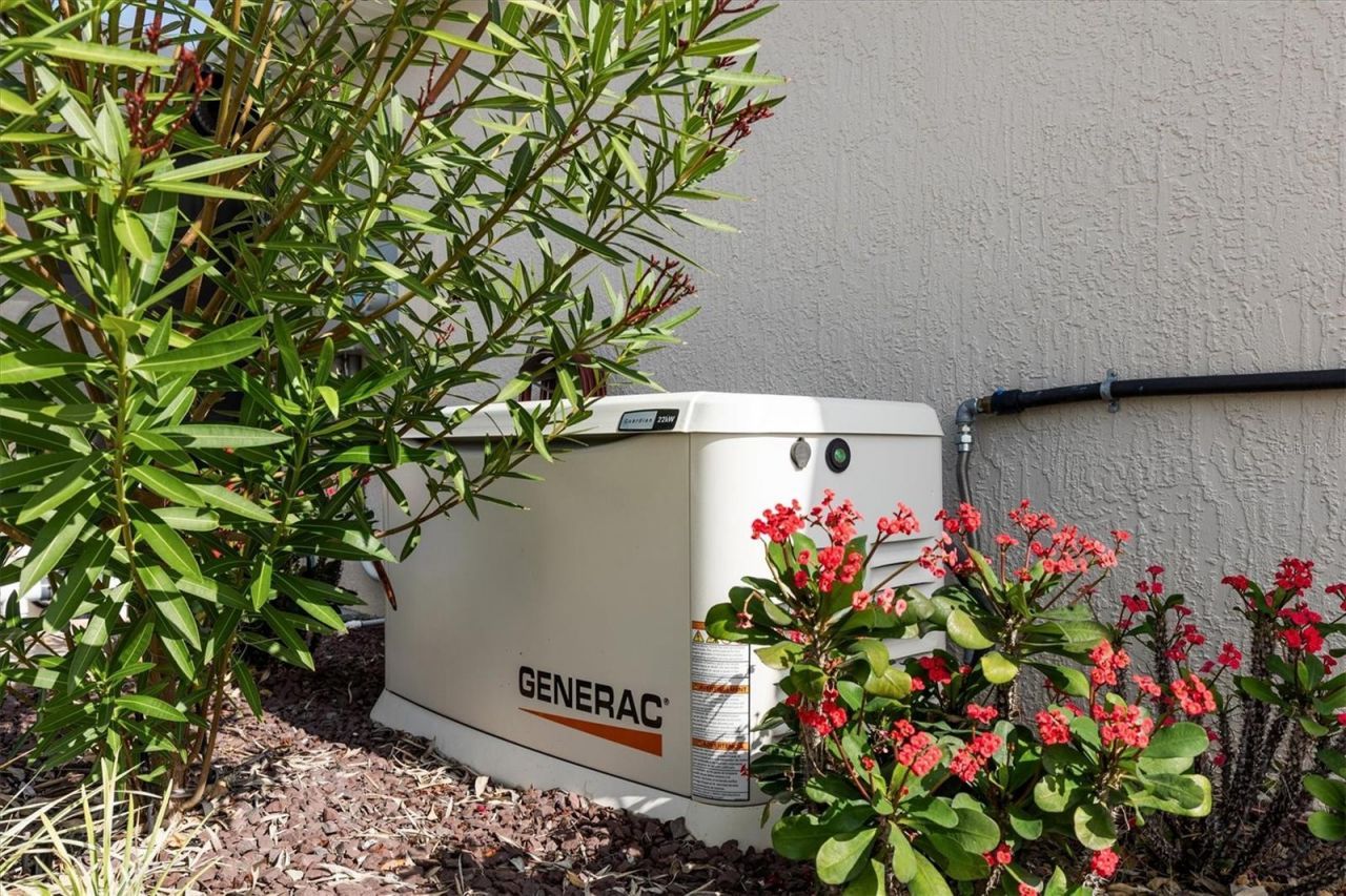 4515 Biggs Place, The Villages, FL 32163 Photo