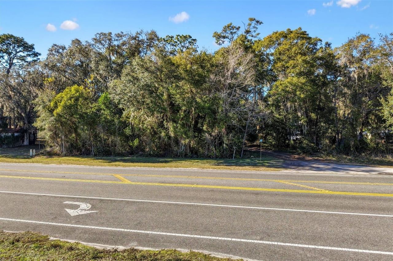1582 S Us 301, Sumterville, FL 33585 Photo