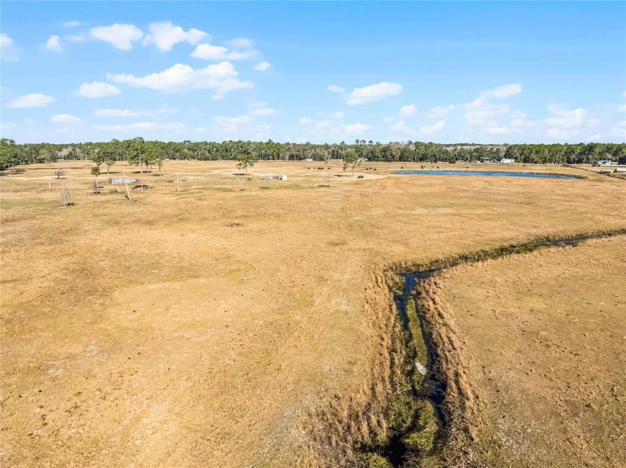 2120 St Johns River Road, Astor, FL 32102 Photo