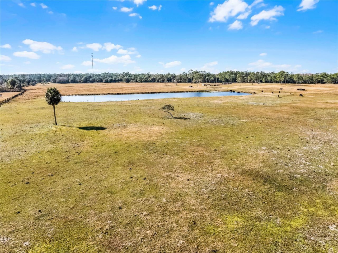 2120 St Johns River Road, Astor, FL 32102 Photo