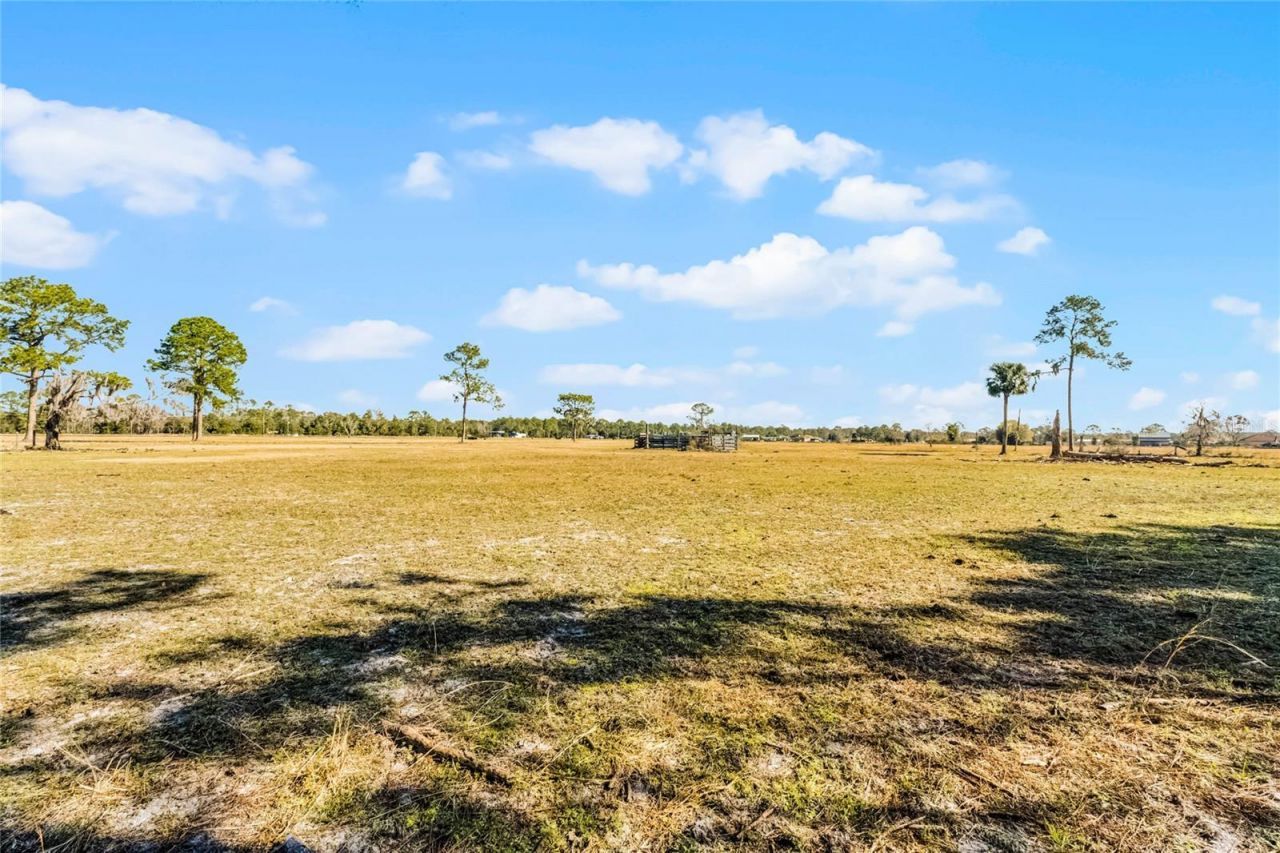 2120 St Johns River Road, Astor, FL 32102 Photo