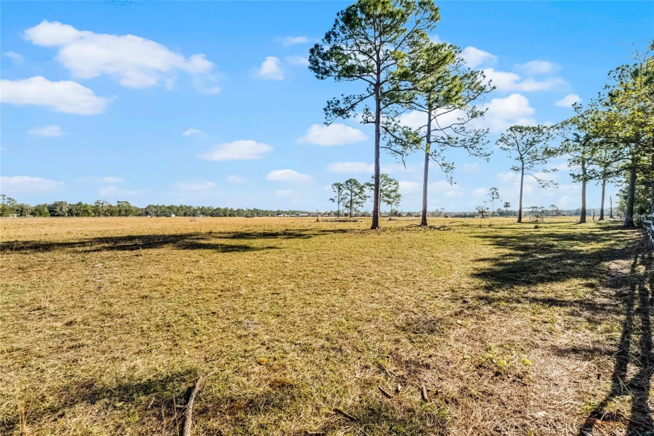 2120 St Johns River Road, Astor, FL 32102 Photo