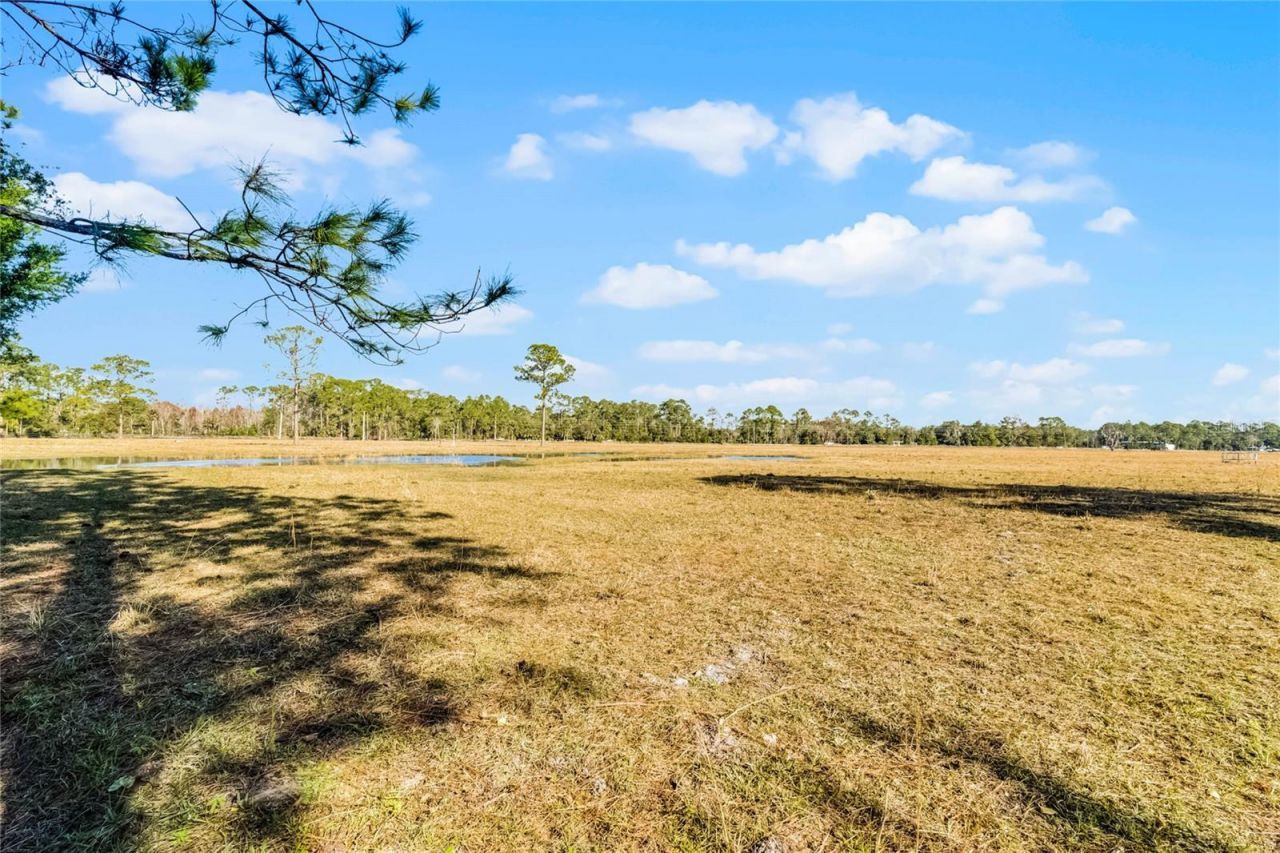 2120 St Johns River Road, Astor, FL 32102 Photo