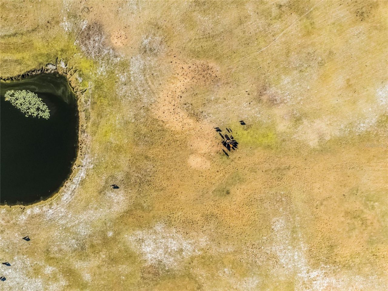 2120 St Johns River Road, Astor, FL 32102 Photo