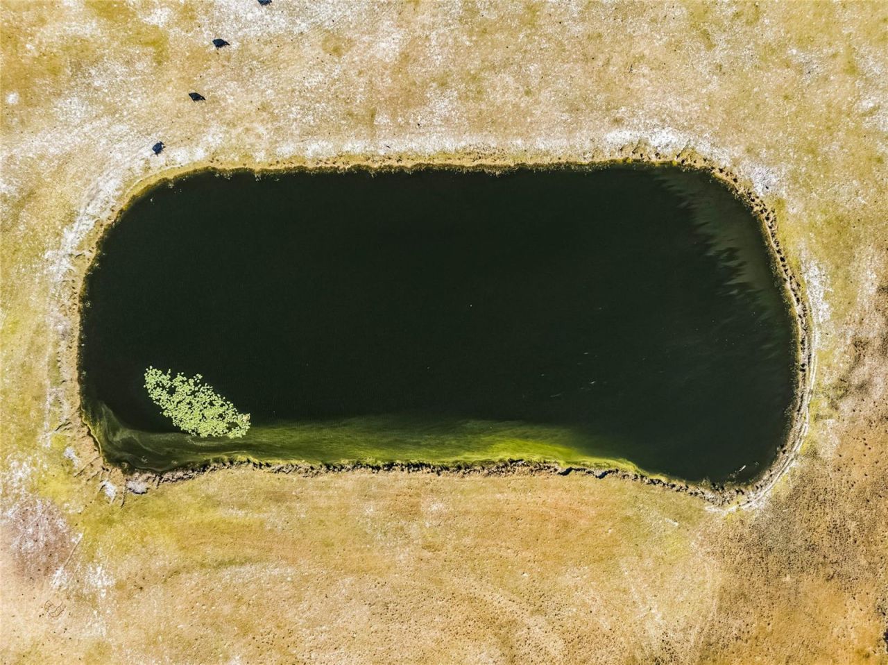 2120 St Johns River Road, Astor, FL 32102 Photo