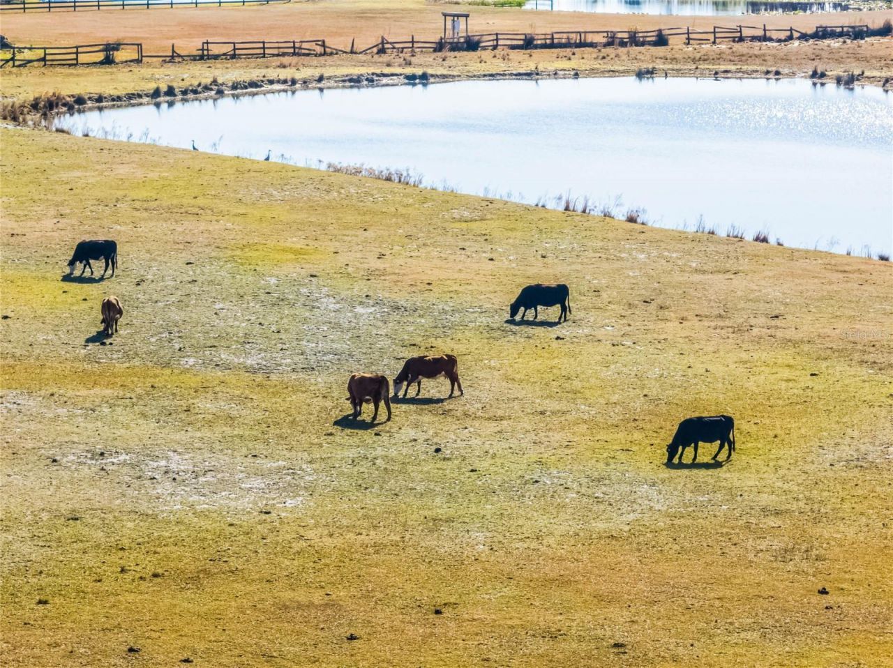 2120 St Johns River Road, Astor, FL 32102 Photo