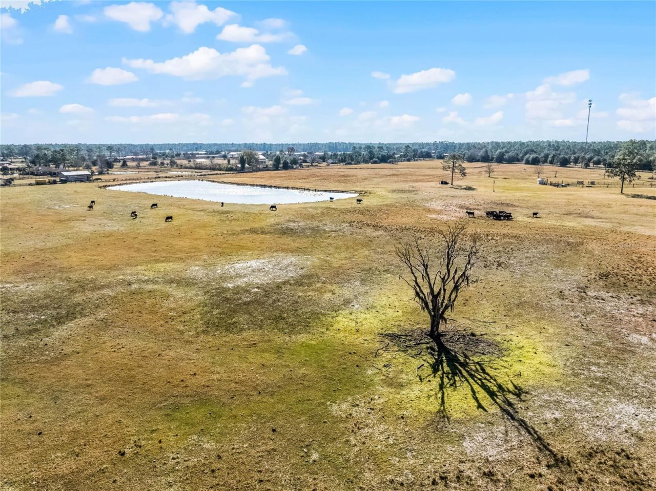 2120 St Johns River Road, Astor, FL 32102 Photo