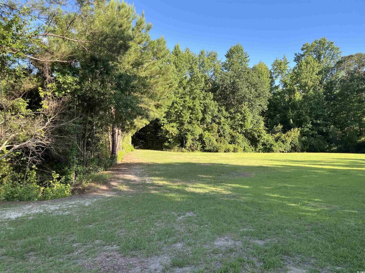 1212 Volunteer Dr. Photo 10