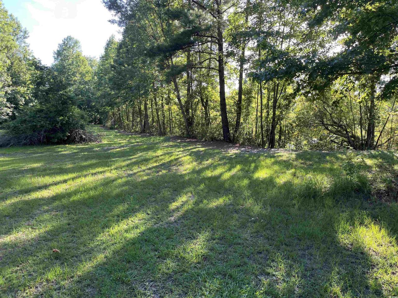 1212 Volunteer Dr. Photo 12