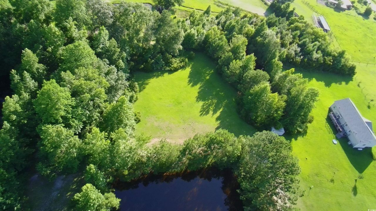 1212 Volunteer Dr. Photo 3