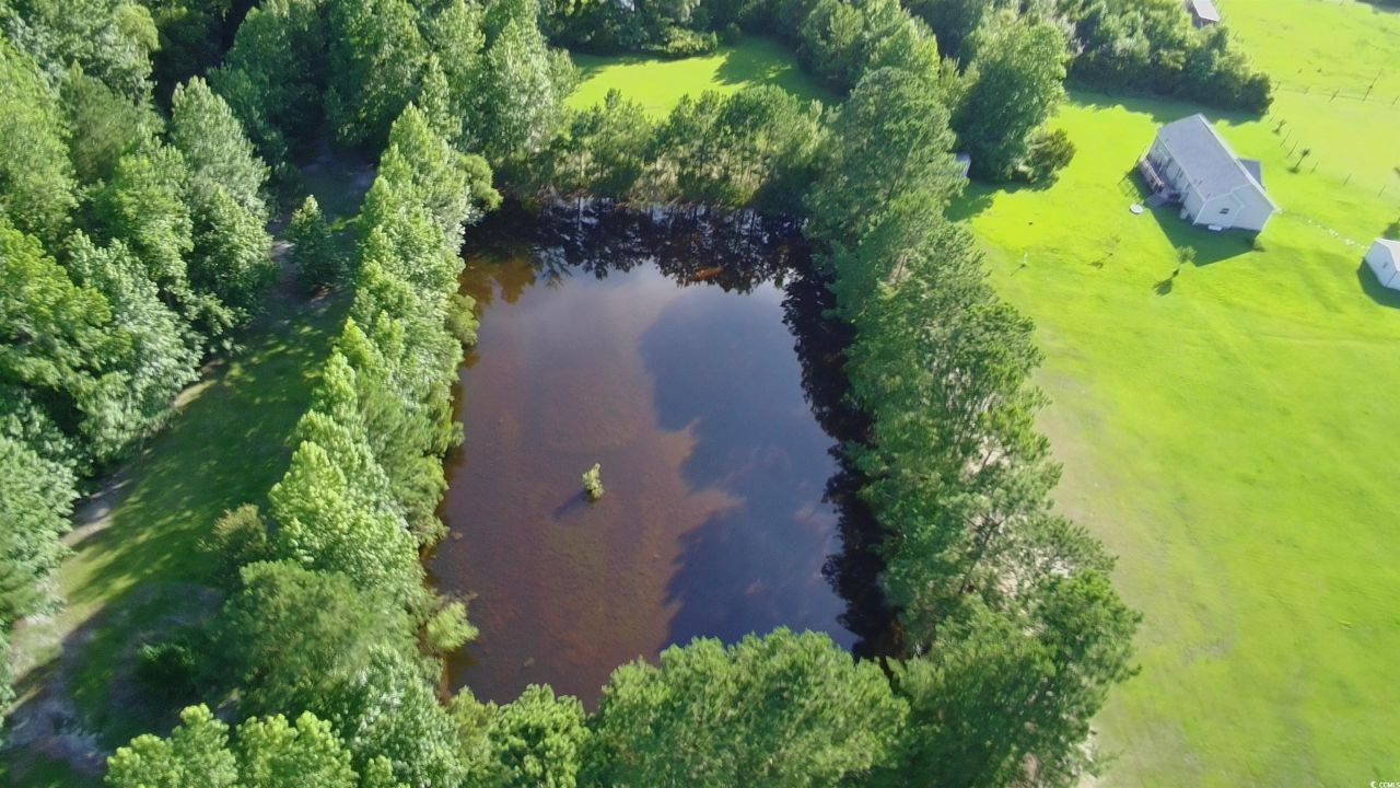 1212 Volunteer Dr. Photo 4