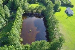 1212 Volunteer Dr. photo 4