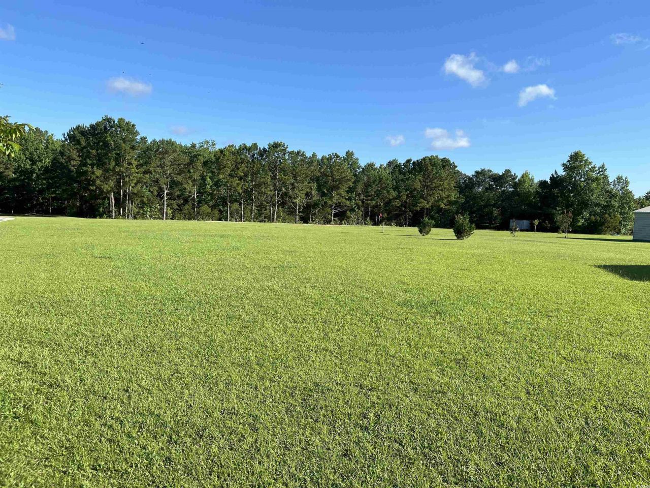 1212 Volunteer Dr. Photo 5