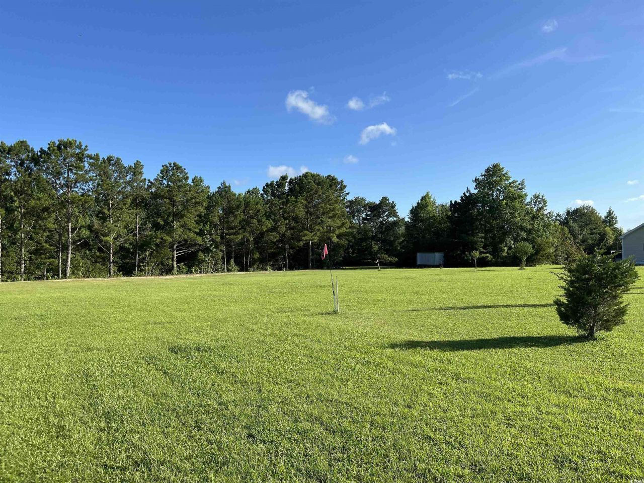 1212 Volunteer Dr. Photo 6