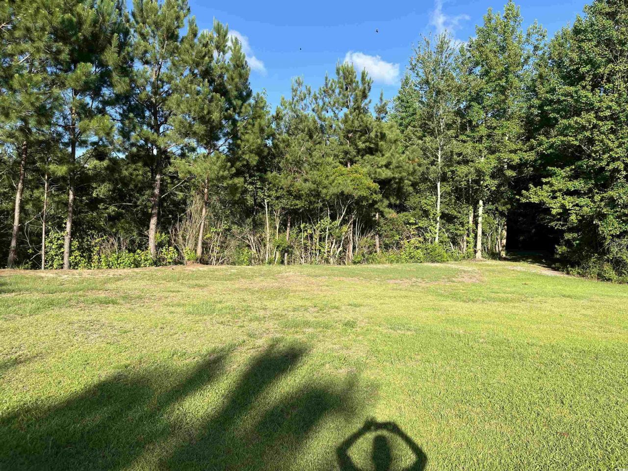 1212 Volunteer Dr. Photo 9