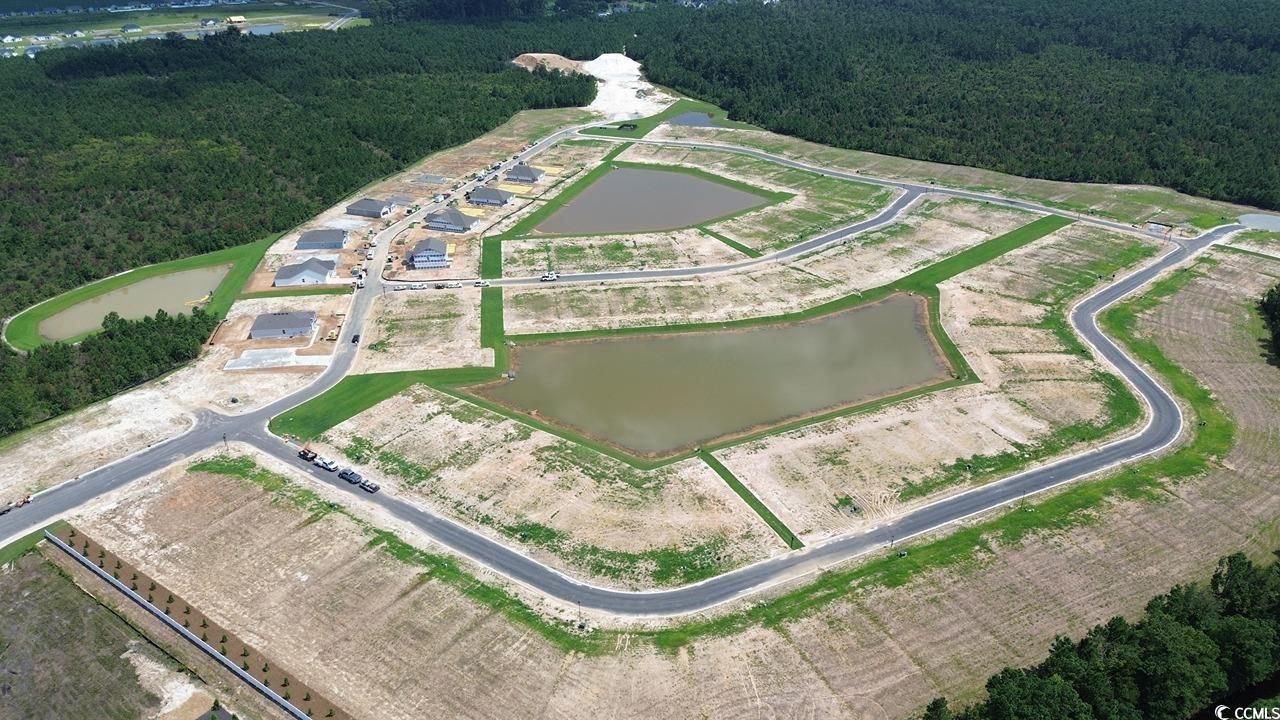 262 Hadley Springs Ave Photo 35