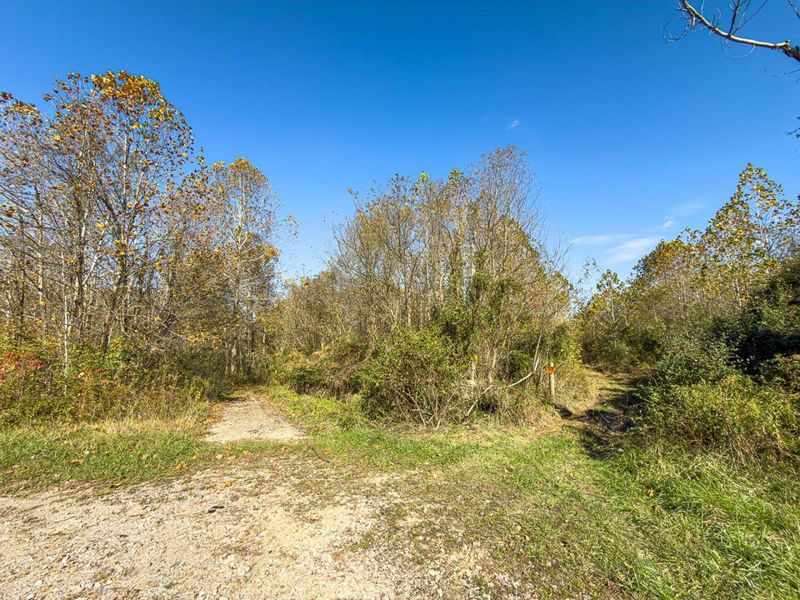 0000 Hawk Station Road, Vinton, OH 45686 Photo 12