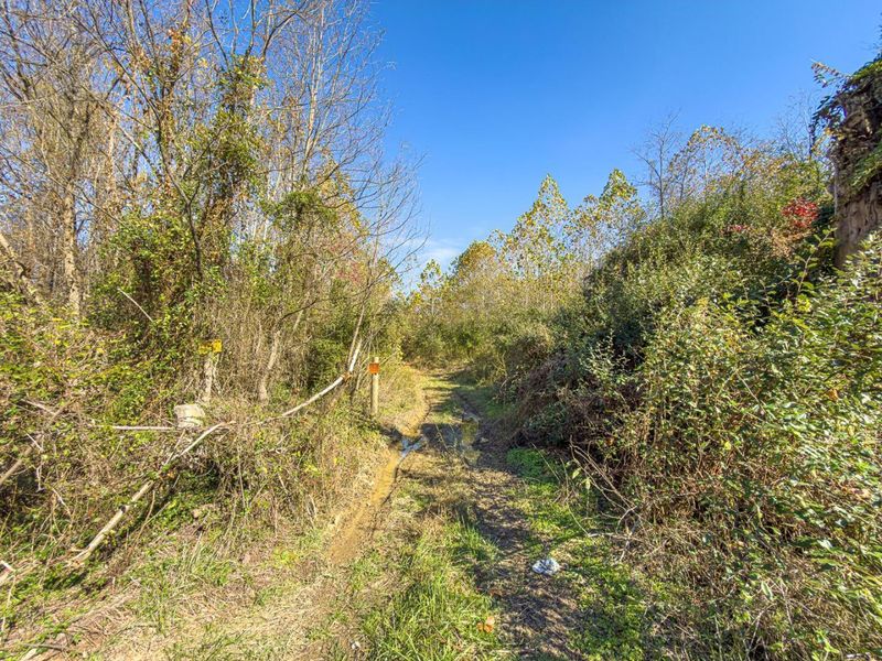 0000 Hawk Station Road, Vinton, OH 45686 Photo 13