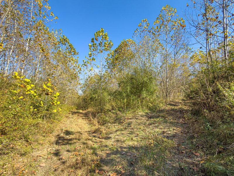 0000 Hawk Station Road, Vinton, OH 45686 Photo 16