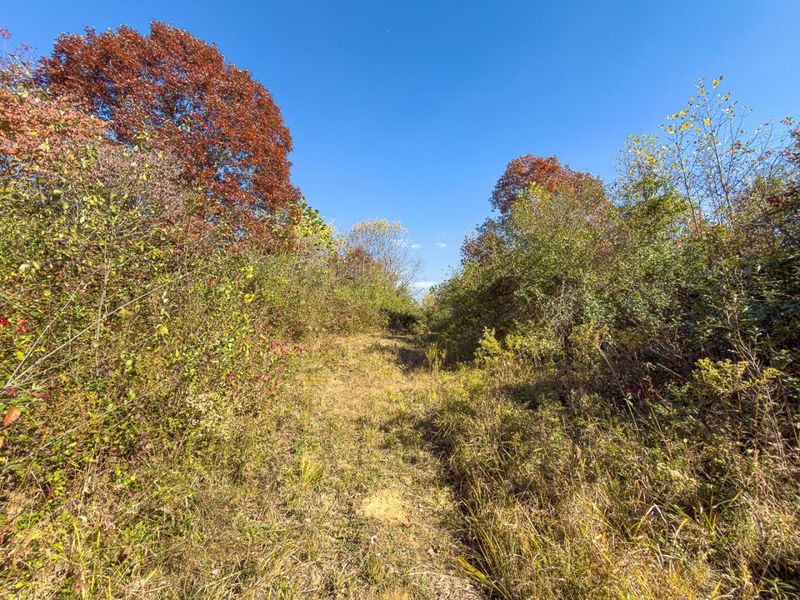 0000 Hawk Station Road, Vinton, OH 45686 Photo 17