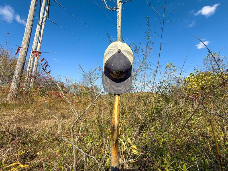 0000 Hawk Station Road, Vinton, OH 45686 Photo 21