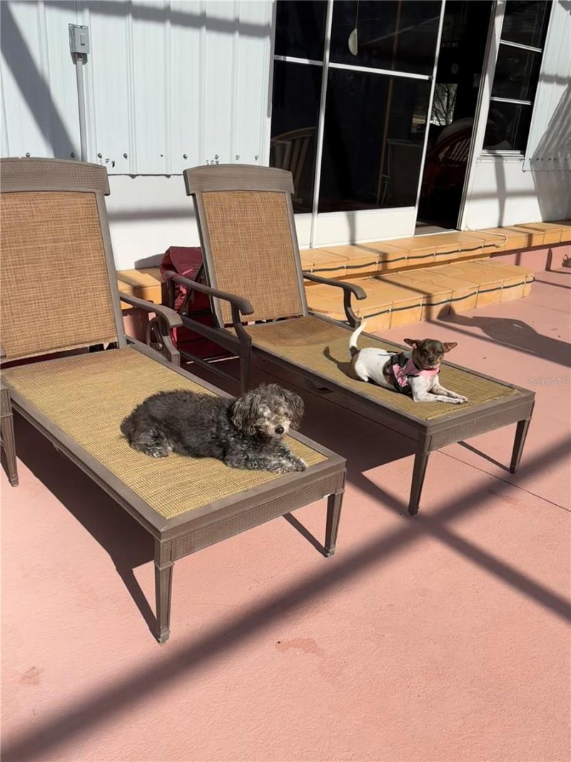 17725 Powerline Road, Dade City, FL 33523 Photo