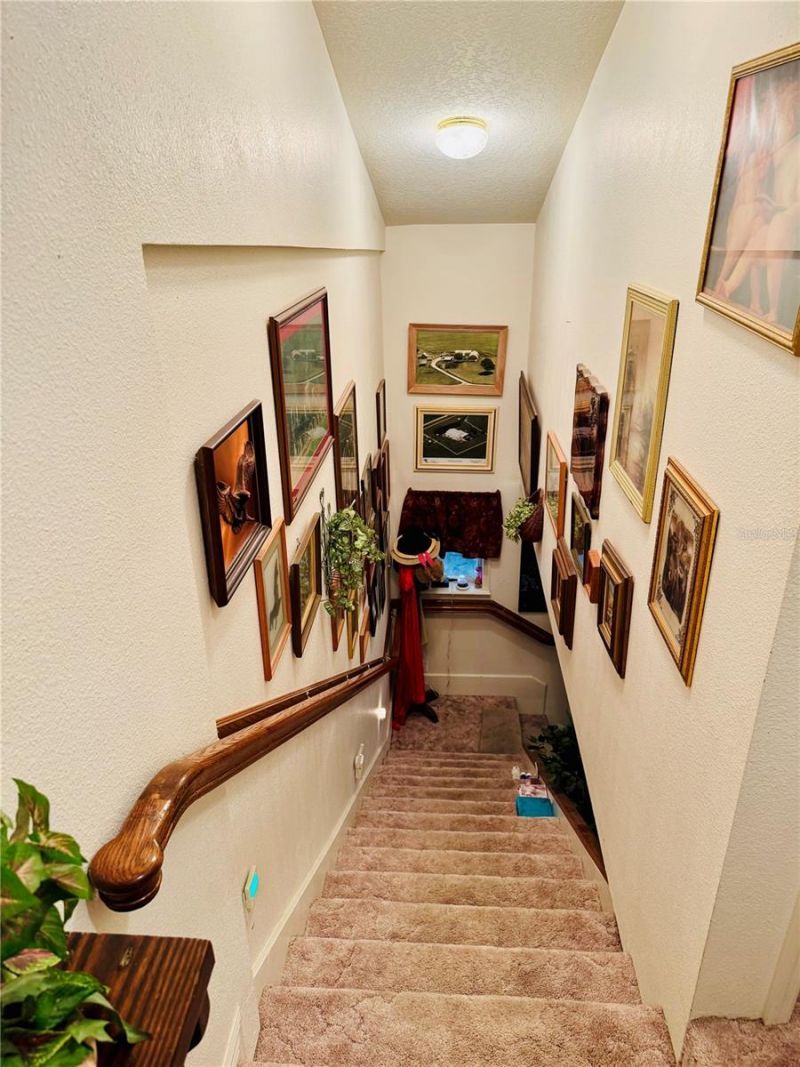 17725 Powerline Road, Dade City, FL 33523 Photo