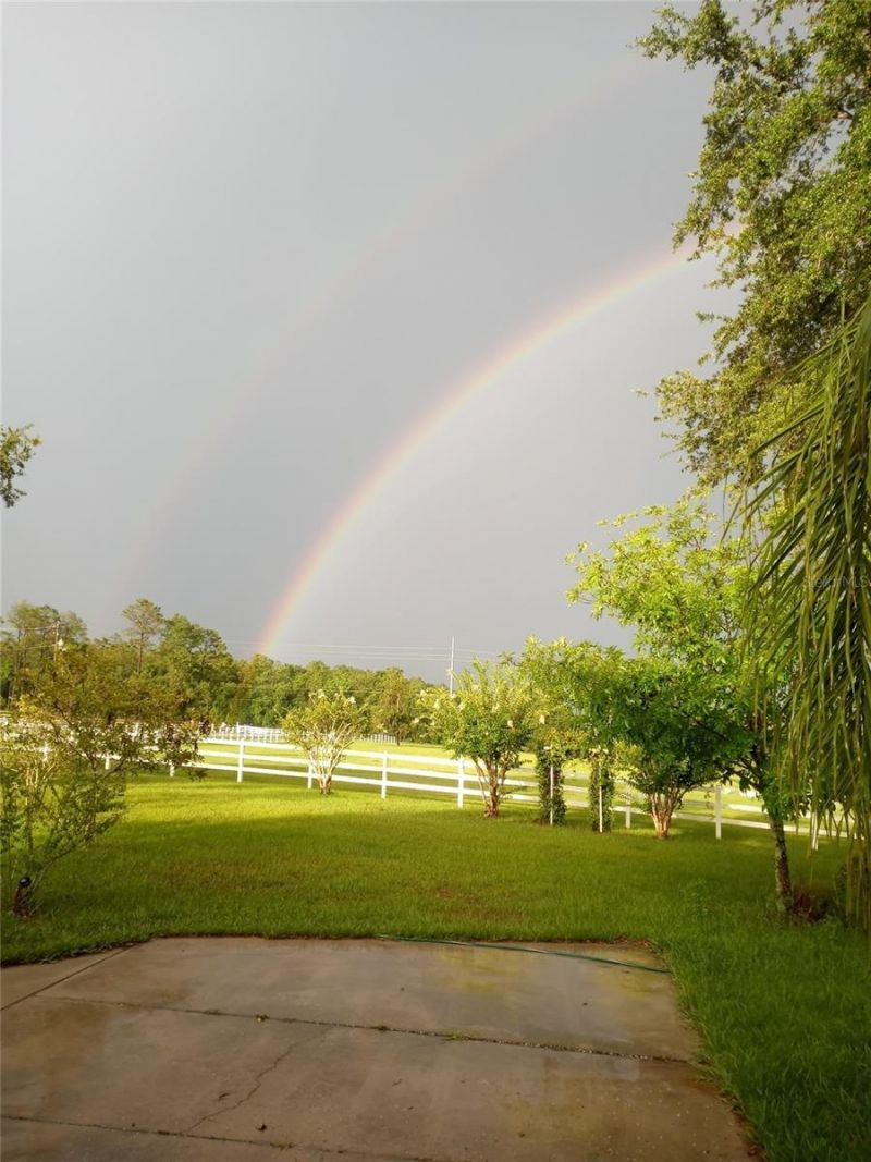 17725 Powerline Road, Dade City, FL 33523 Photo