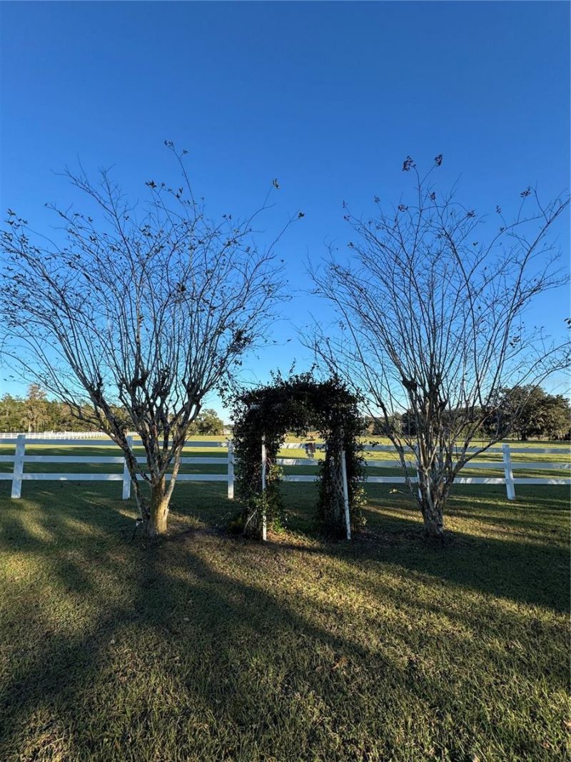 17725 Powerline Road, Dade City, FL 33523 Photo