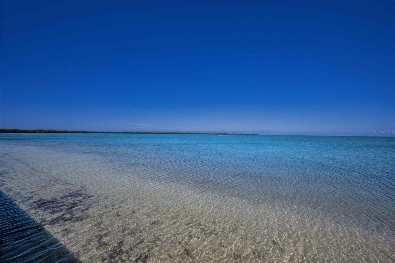 9 Haig Place, Unit 312, Dunedin, FL 34698 Photo